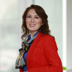 Elham Fini | Arizona Transportation Institute